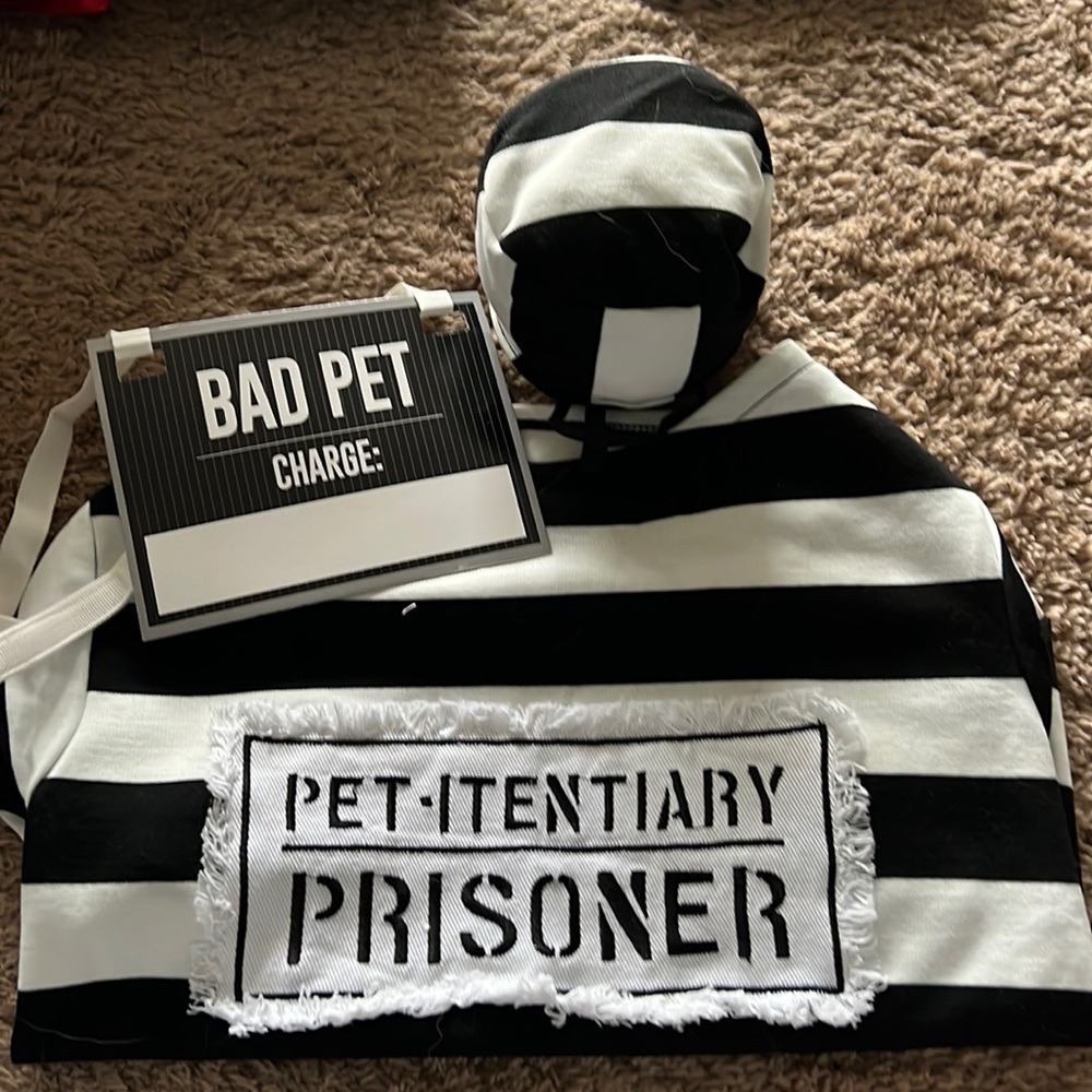 Dog Halloween Costumes